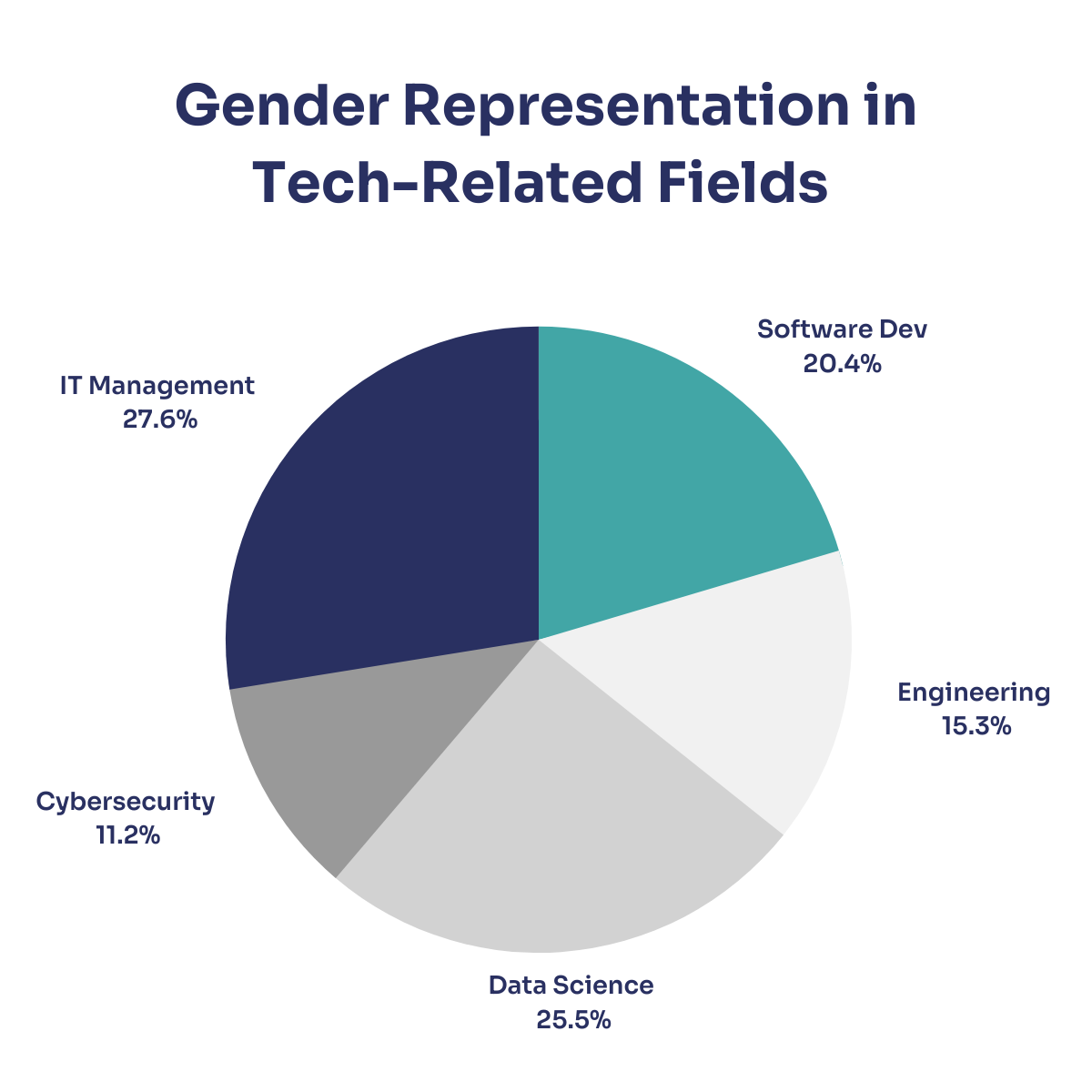 Gender representation in tech-related fields pie chart